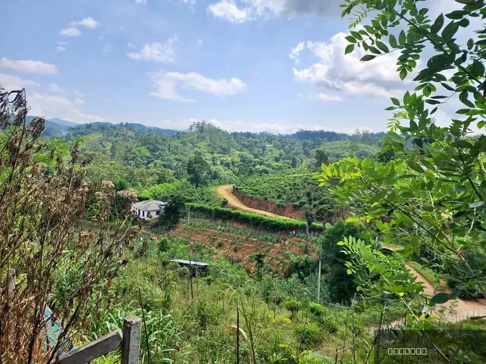 Land For Sale In Bandarawela