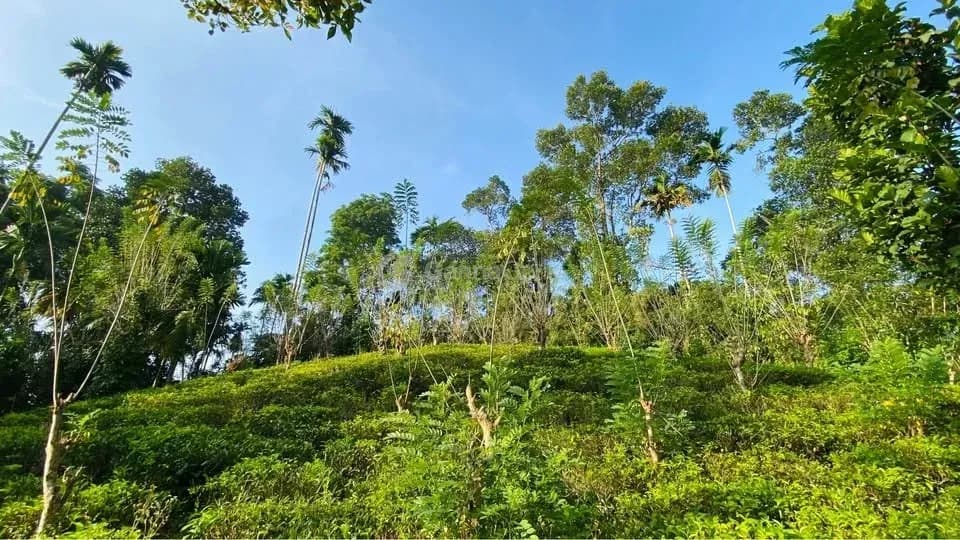 97 perches Land for Sale - Image 1